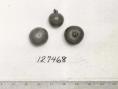 Click for 1 image(s) for this accession. FRUIT